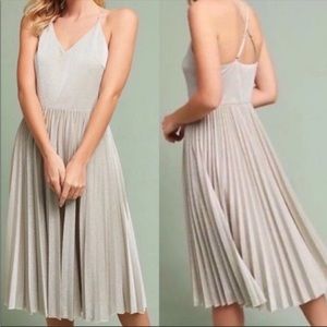 Anthropologie x Silver Gown